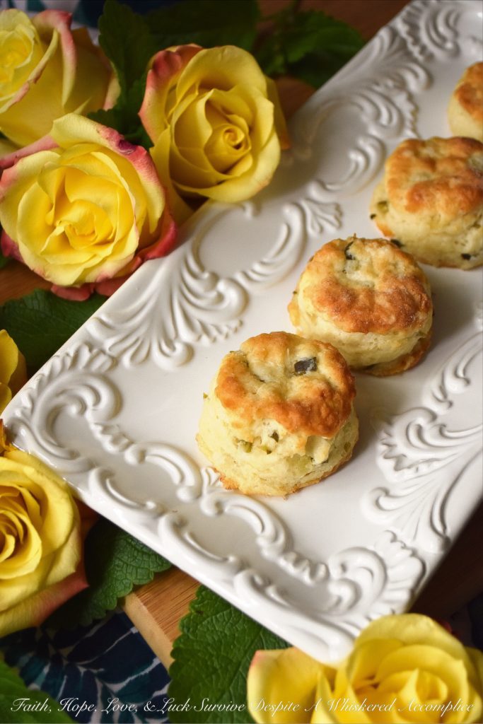 Bread & Butter Pickle Buttermilk Biscuits - Not only do bread & butter pickles add flavor to traditional buttermilk biscuits, but they also add moisture, making these little biscuits fluffy, flavorful, and tenderly moist. Whether you eat them on their own or use them for bread to make a sandwich, I guarantee you'll enjoy their delicate deliciousness.