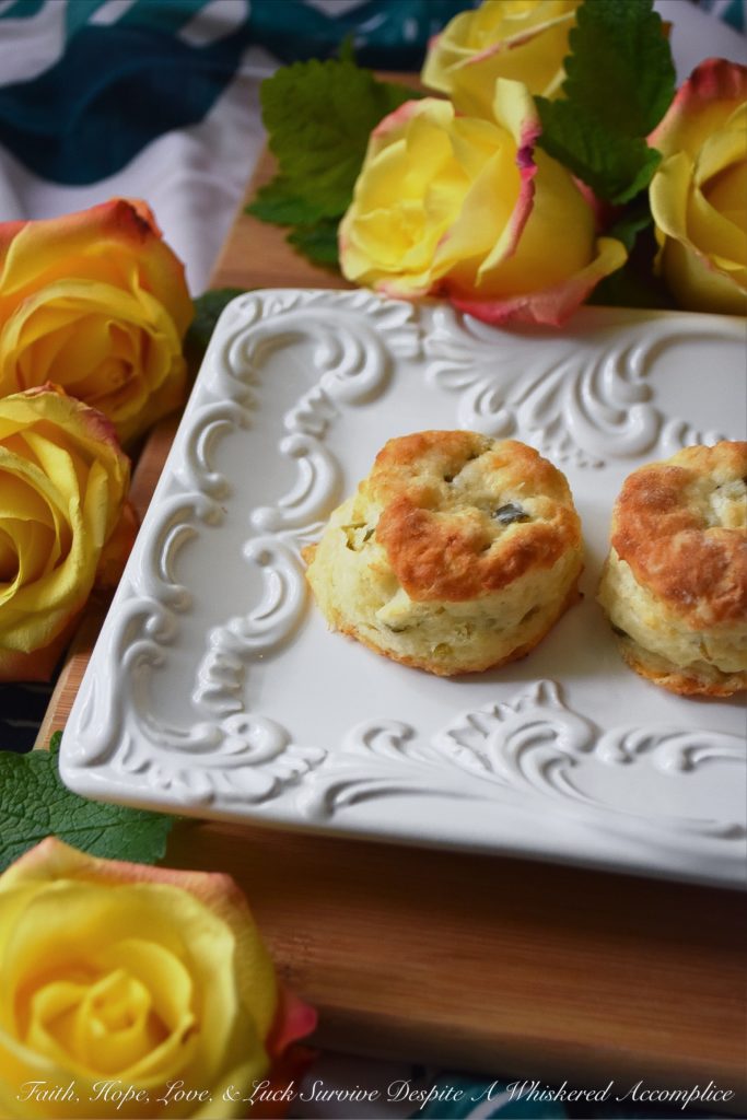 Bread & Butter Pickle Buttermilk Biscuits - Not only do bread & butter pickles add flavor to traditional buttermilk biscuits, but they also add moisture, making these little biscuits fluffy, flavorful, and tenderly moist. Whether you eat them on their own or use them for bread to make a sandwich, I guarantee you'll enjoy their delicate deliciousness.