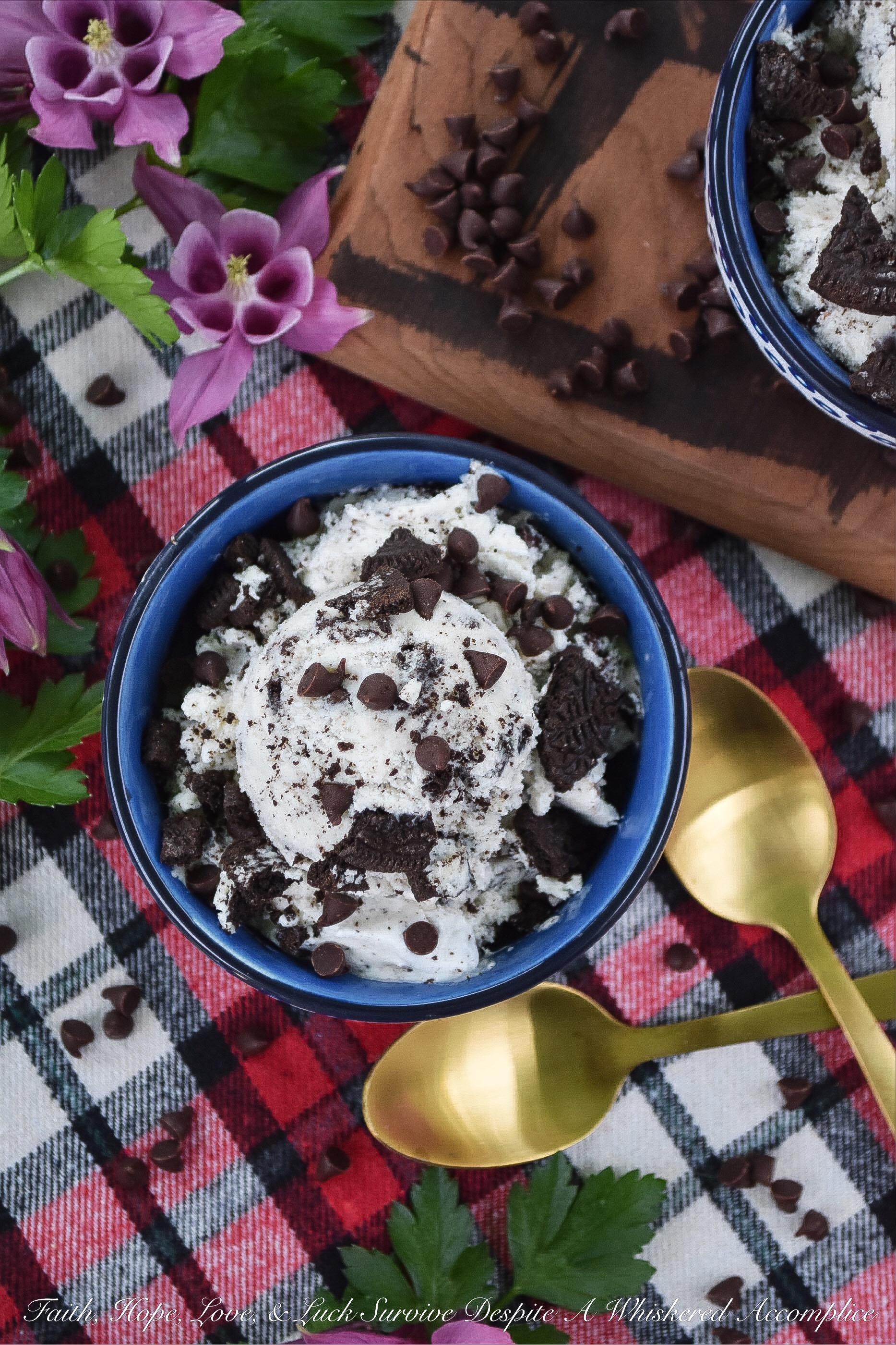 Chocolate Chip Ice Cream with Crushed Oreos