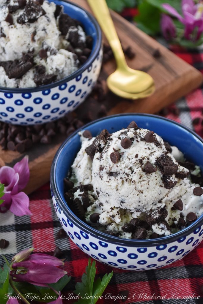 Chocolate Chip Ice Cream with Crushed Oreos - Choosing one flavor of ice cream is often difficult, but with this delicious ice cream, it doesn't have to be. This frozen dessert is basically two ice creams in one; chocolate chip and Oreo cookie. Who doesn't love it when chocolate chips and crushed Oreos are paired together? With this ice cream, no one's forced to choose a favorite.