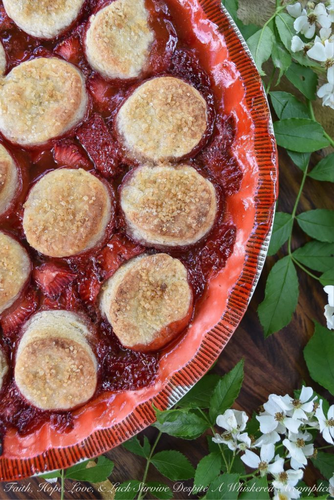 Sweet Strawberry Biscuit-Topped Pie - This sweet biscuit-topped pie is for those times when you're craving a dessert with a little extra oomph, not just any ordinary strawberry pie. Made with fresh strawberries and covered in small sugar-coated buttery biscuits, this strawberry pie is practically bubbling over with oomph.