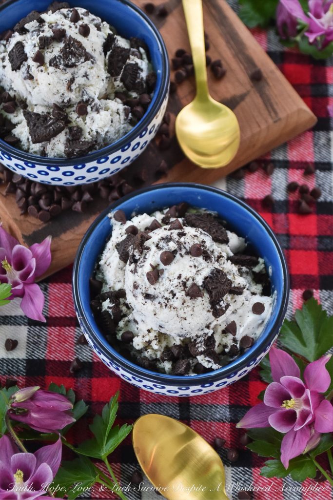 Chocolate Chip Ice Cream with Crushed Oreos - Choosing one flavor of ice cream is often difficult, but with this delicious ice cream, it doesn't have to be. This frozen dessert is basically two ice creams in one; chocolate chip and Oreo cookie. Who doesn't love it when chocolate chips and crushed Oreos are paired together? With this ice cream, no one's forced to choose a favorite.