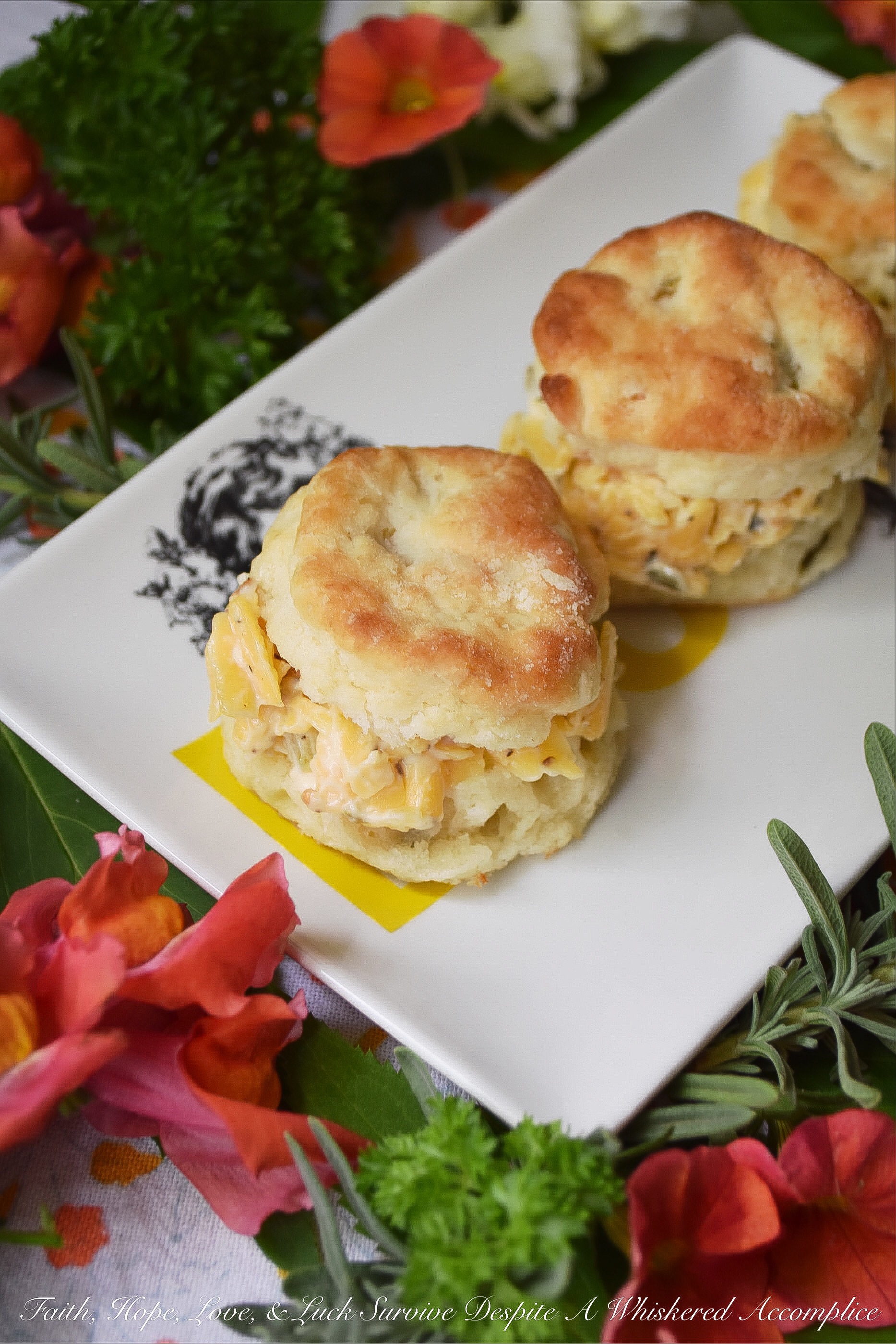 Southern Cheese Spread Tea Party Biscuits