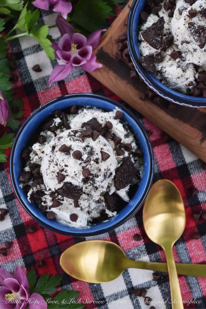 Chocolate Chip Ice Cream with Crushed Oreos - Choosing one flavor of ice cream is often difficult, but with this delicious ice cream, it doesn't have to be. This frozen dessert is basically two ice creams in one; chocolate chip and Oreo cookie. Who doesn't love it when chocolate chips and crushed Oreos are paired together? With this ice cream, no one's forced to choose a favorite.