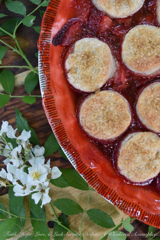 Sweet Strawberry Biscuit-Topped Pie - This sweet biscuit-topped pie is for those times when you're craving a dessert with a little extra oomph, not just any ordinary strawberry pie. Made with fresh strawberries and covered in small sugar-coated buttery biscuits, this strawberry pie is practically bubbling over with oomph.