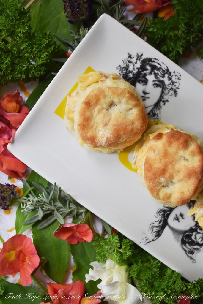 Southern Cheese Spread Tea Party Biscuits - Every tea party needs a few savory food options to balance out the menu and these bread and butter pickle buttermilk biscuits filled with a flavorful southern cheese spread definitely fill that need. They're the perfect size for snacking too, which means that you may want to make more than one batch because they'll disappear surprisingly fast.