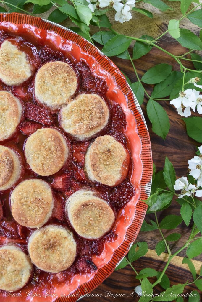 Sweet Strawberry Biscuit-Topped Pie - This sweet biscuit-topped pie is for those times when you're craving a dessert with a little extra oomph, not just any ordinary strawberry pie. Made with fresh strawberries and covered in small sugar-coated buttery biscuits, this strawberry pie is practically bubbling over with oomph.