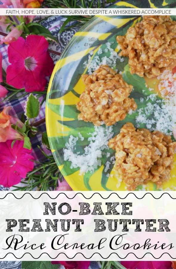 No-Bake Peanut Butter Rice Cereal Cookies - With this no-bake recipe, you can now have cookies in your house in under five minutes. A whole two to three minutes spent in front of a stove stirring sugar, corn syrup, and coconut oil or butter together is all that's required. Two to three minutes isn't even enough time in front of a stove to break a sweat and you'll be shocked at just how amazing these peanut butter and rice cereal cookies taste.