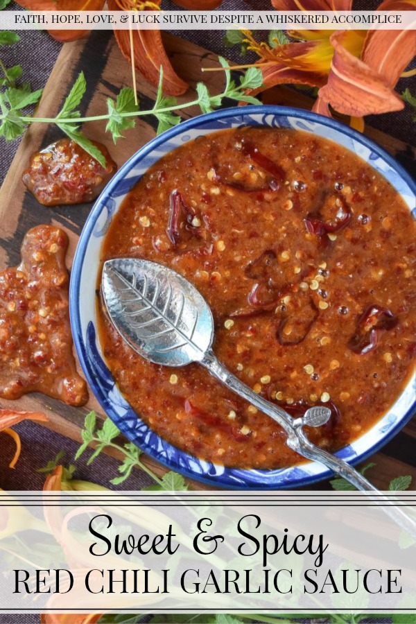 Sweet & Spicy Red Chili Garlic Sauce - This sweet and spicy homemade condiment, made with red chili peppers and a healthy amount of garlic, can be used to make just about any food more flavorful. It's really up to you how to use this sauce. You can use it to baste grilled seafood, marinate steak, or even to enhance the flavor of your favorite salad dressing or dip.