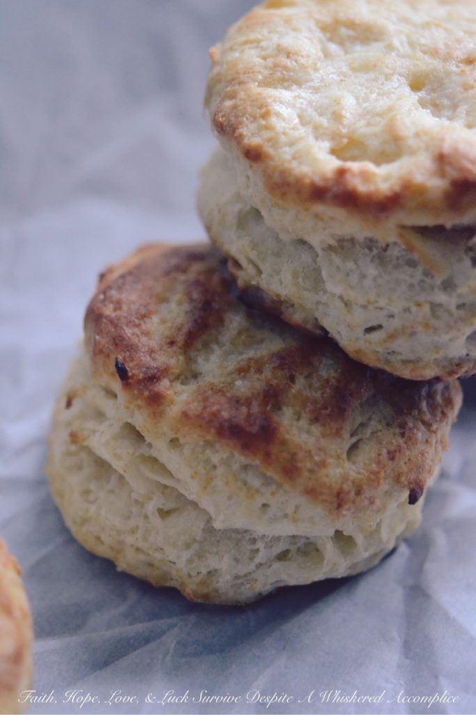 Easy, Flaky Breakfast Biscuits - Biscuits aren't too terribly difficult to make, and they're an absolutely delicious way to start off any morning. This easy, flaky breakfast biscuit recipe will have you making biscuits every chance you get because after making them once, you're going to want to make them over and over again after you see just how easy they are to make.