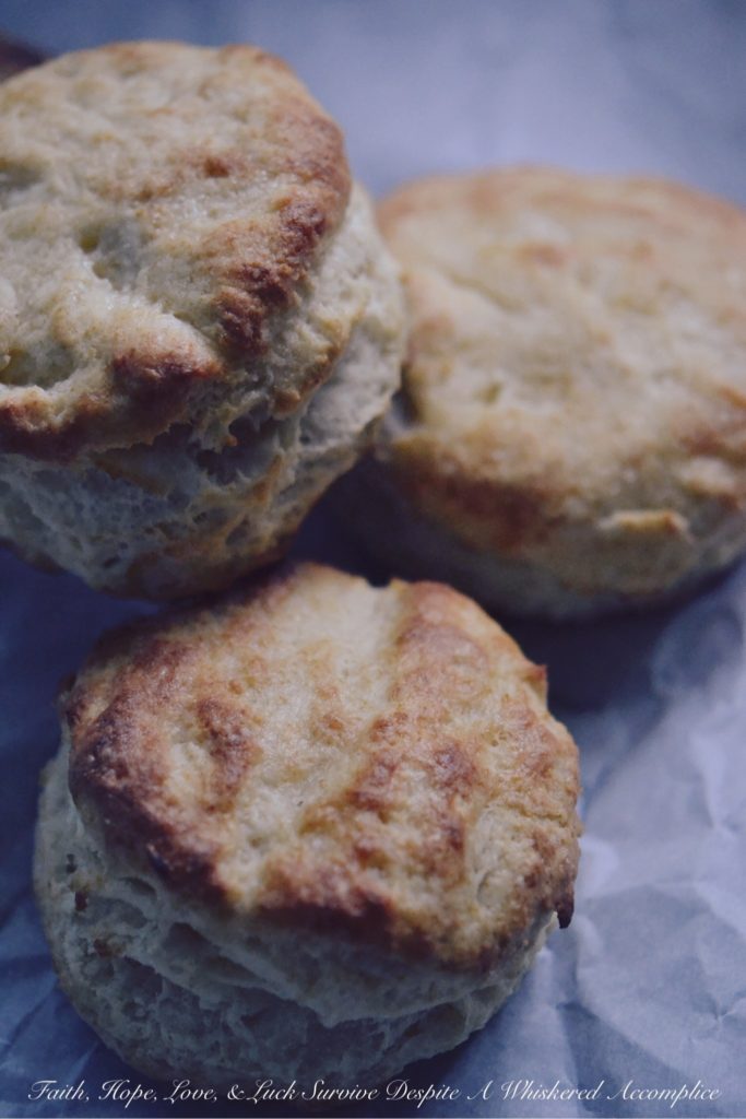 Easy, Flaky Breakfast Biscuits - Biscuits aren't too terribly difficult to make, and they're an absolutely delicious way to start off any morning. This easy, flaky breakfast biscuit recipe will have you making biscuits every chance you get because after making them once, you're going to want to make them over and over again after you see just how easy they are to make.