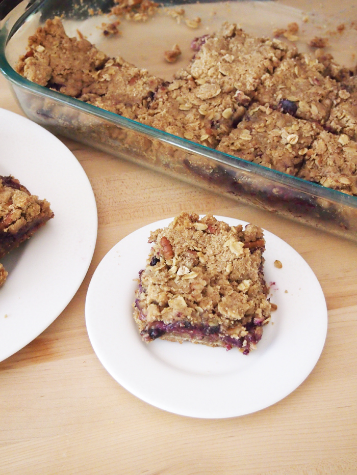 Blueberry Crisp Bars - Pies and Plots - Summer will be over before you know it. So, while the weather is still hot, get out and enjoy it as much as you can. We're helping you by sharing all our favorite picnic and cookout recipes. Hopefully, they'll inspire you to spend time with friends in the sun and enjoy the warm summer weather while it lasts.