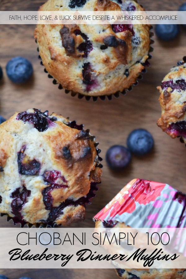 Chobani Simply 100 Blueberry Dinner Muffins - Having bread for dinner doesn't mean that you're eating dreadfully or living an unhealthy lifestyle. Especially, if that bread comes in the form of these blueberry dinner muffins. The secret to these healthier muffins is that they contain way less sugar than most. Low-fat and low-sugar yogurt also helps give them amazing flavor and just the right amount of texture. Grab a muffin and ditch the guilt.