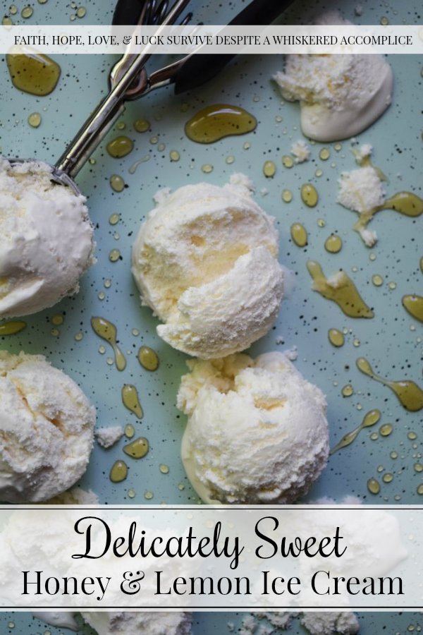 Delicately Sweet Honey & Lemon Ice Cream - Not all desserts have to be overly sweet. Occasionally, it's nice to enjoy a dessert with a nice, light, subtly sweet flavor instead. This ice cream is the perfect example. The lemon zest and juice in this frozen dessert, help give it just the right amount of tanginess to balance out the unique sweetness from the honey which it also contains. You'll definitely fall in love with this delicately sweet homemade ice cream.