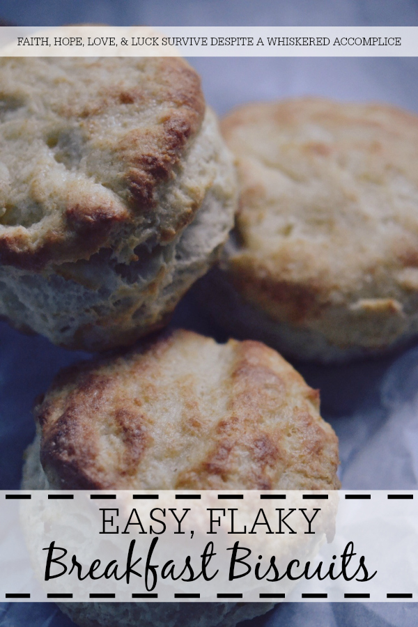 Easy, Flaky Breakfast Biscuits - Take 2 - Biscuits aren't too terribly difficult to make, and they're an absolutely delicious way to start off any morning. This easy, flaky breakfast biscuit recipe will have you making biscuits every chance you get because after making them once, you're going to want to make them over and over again after you see just how easy they are to make.