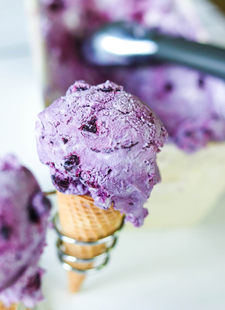 No Churn Roasted Blueberry Ice Cream - Daily Dish Recipes - Welcome to Friday! Friday! Friday! Favorites! Each Friday we'll be sharing our favorite recipes of the week from other fabulous food bloggers, so make sure to visit and see what tasty over-the-top dishes we're most excited about.