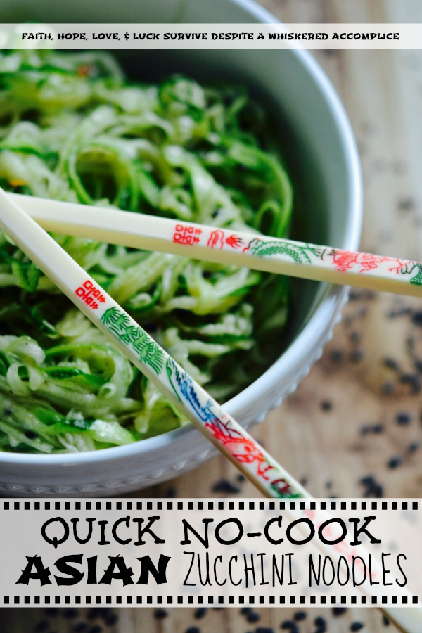 Quick No-Cook Asian Zucchini Noodles - When summer arrives, bringing with it an over-abundance of zucchini, it's time to break out the spiralizer or slicer to make homemade zoodles. Topped with a simple Asian dressing, this no-cook vegetable side dish will easily become a favorite recipe you'll turn to over and over again all summer long.