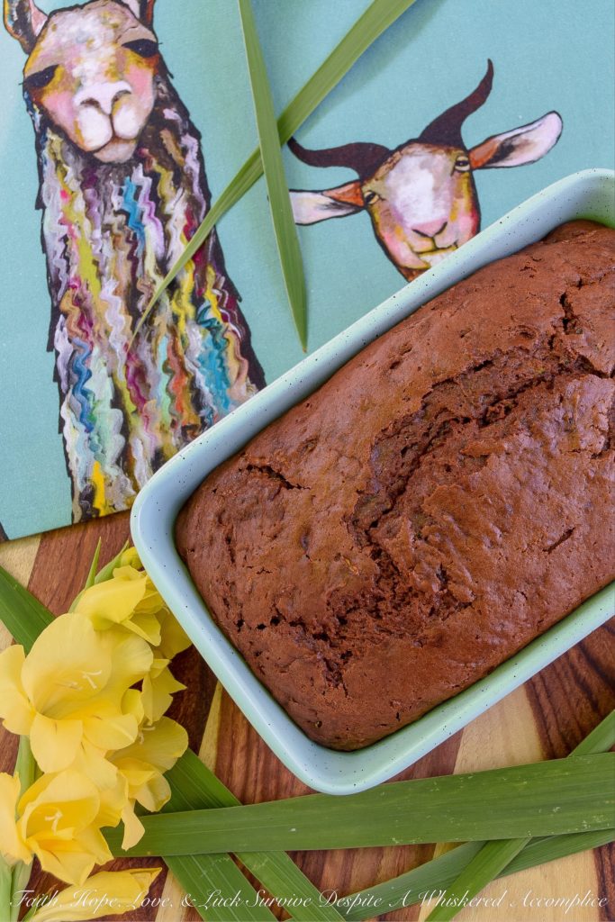 Chocolate Pudding Zucchini Bread - When life gives you zucchini, don't hesitate for a second, it's a sign that you should make zucchini bread. And not just any zucchini bread, but chocolate pudding zucchini bread. You're just one bowl and one bread pan away from a seriously delicious dessert or breakfast treat.