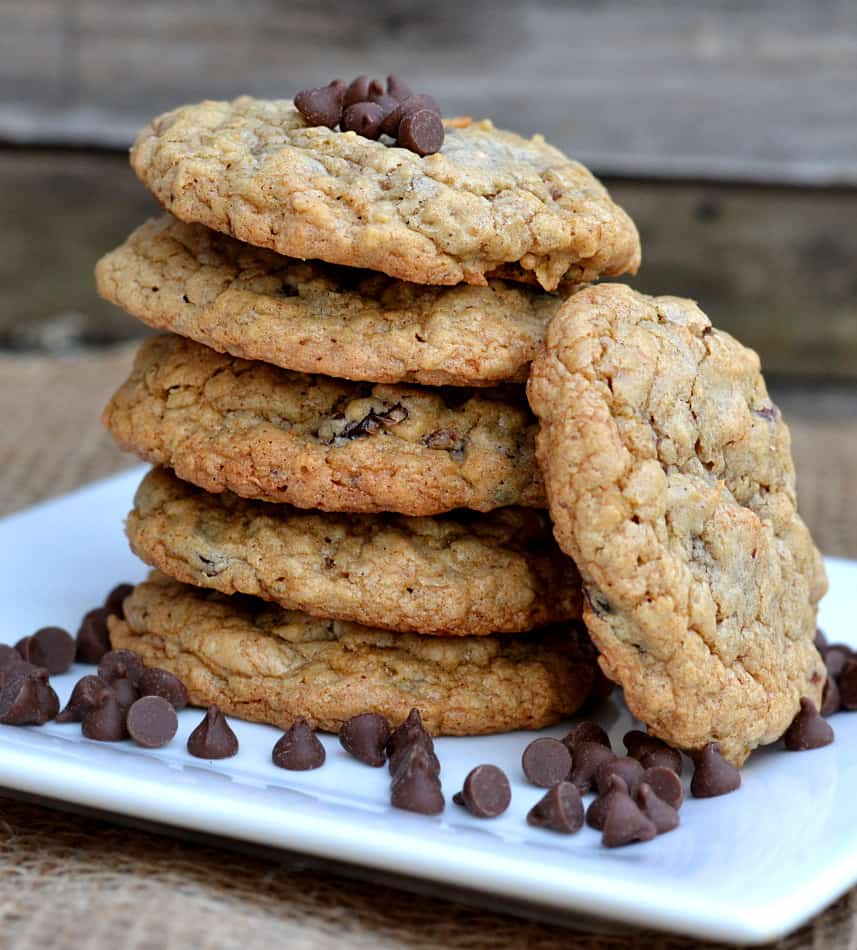 Chewy Oatmeal Chocolate Chip Raisin Cookies - Crafty Cooking Mama - September 2019 Recipe Round-Up - When September arrives and all of the kids go back to school, quick and easy breakfast and weeknight meals are always a brilliant idea. This month, we're sharing some of our favorite time-saving recipes to help you get breakfast and dinner on the table in the least amount of time possible.