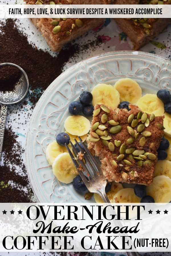 Overnight Make-Ahead Coffee Cake (Nut-Free) - This overnight make-ahead coffee cake recipe makes it super-simple to get breakfast on the table, whether it be a weekday or weekend morning. Pepitas, or roasted salted pumpkin seeds, give this coffee-cake a lovely nutty flavor while still allowing it to be nut-free for those with allergies. Simply remove the cake from the refrigerator in the morning, preheat your oven, and then bake to perfection.