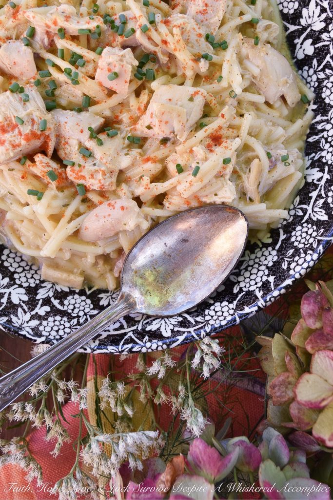 7-Ingredient Broken Spaghetti Pasta Soup - Not only does this recipe only require 7 ingredients, but it can also be made in less than 20 minutes, making it the perfect meal for a busy weeknight. It's made using only garlic and herbs soft spreadable cheese, chicken broth or stock, rotisserie chicken, paprika, salt, pepper, and broken spaghetti noodles. You can serve this dish right away as soup, or wait 30 minutes for the pasta to absorb more liquid and turn into a creamy pasta dish.