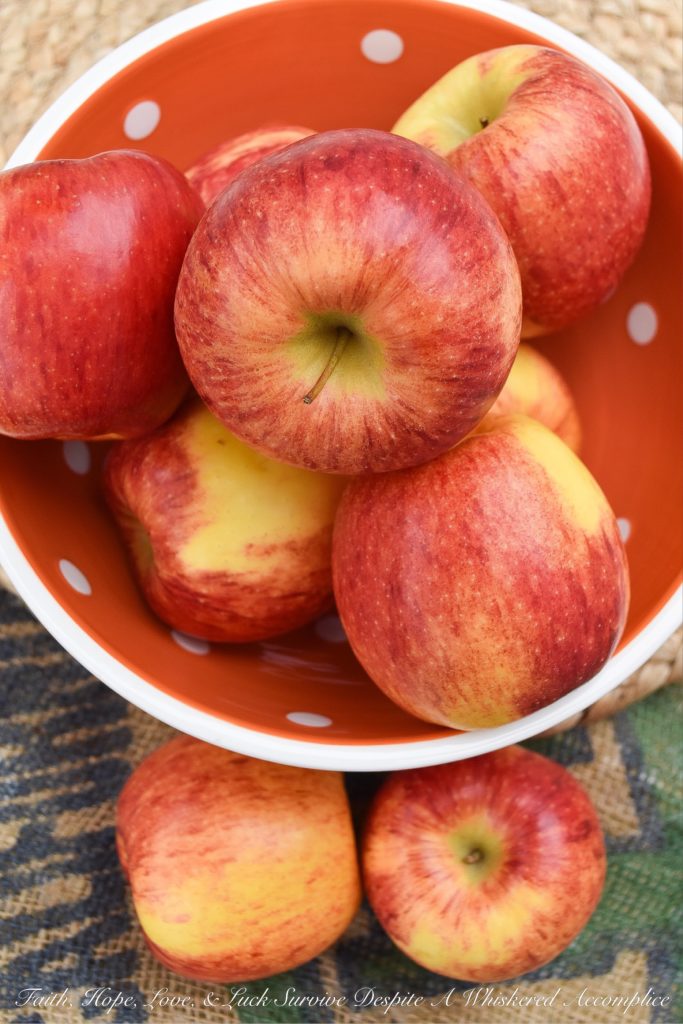 Welcome to #AppleWeek 2019 - Welcome to #AppleWeek, where I and several other food bloggers will be sharing fabulous recipes containing apples all week long and offering an over-the-top #AppleWeek Prize Package Giveaway. So, get ready to hit your local apple orchard, farmer's market, or grocery store and stock up on lots and lots of apples, because after you see all of these fantastic apple recipes, you're definitely going to want more than just a few of them.