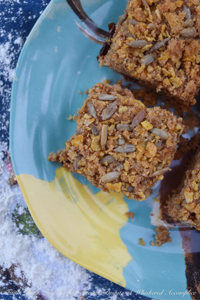 Crunchy Dried Cherry Applesauce Cake Bars - Are you looking for a delicious cakey dessert, filled with dried fruit, that has an amazing crunch? Well then, these applesauce cake bars are just what you're looking for. They're filled with dried cherries and sunflower seeds, which makes this moist and chewy. Then, they're covered in a sweet topping made with brown sugar, butter, sunflower seeds, and crushed corn flakes to make them over-the-top crunchy. These are seriously crunchtastic.