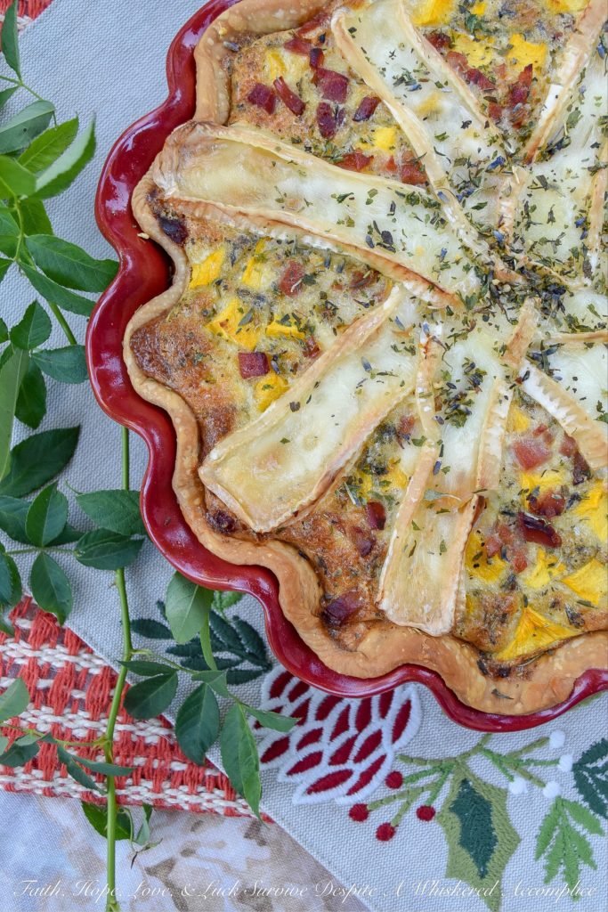 French Pumpkin & Ham Quiche with Brie - Traditional quiche is given a French twist with the addition of Herbes de Provence and creamy brie cheese. And as if that wasn't delicious enough, it's also given a seasonal twist as well with the addition of diced autumn pumpkin. This pumpkin, ham, and brie quiche will definitely make you wish fall could last all year long.