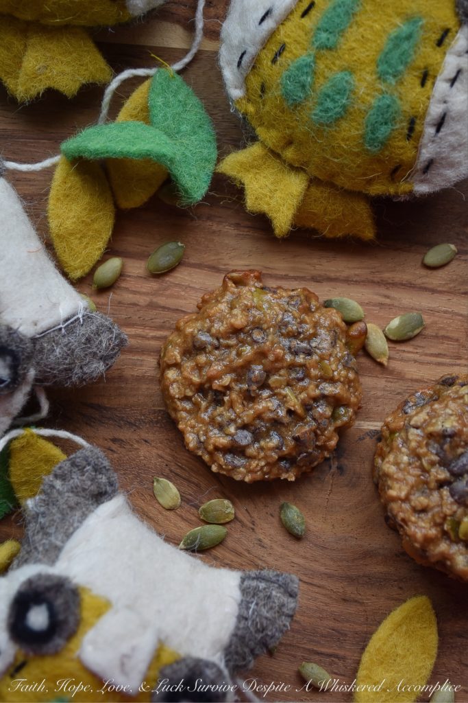 Fall Harvest Oatmeal Breakfast Cookies - Cookies for breakfast? Why not? These fall harvest oatmeal breakfast cookies make eating cookies for breakfast almost guilt-free and definitely an event to look forward to. Packed with oats, pumpkin seeds, and chocolate chips, these breakfast cookies are pretty much impossible to resist. Not only will you love how they taste, but you'll also adore their amazing texture.