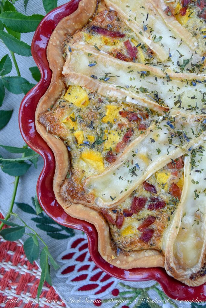French Pumpkin & Ham Quiche with Brie - Traditional quiche is given a French twist with the addition of Herbes de Provence and creamy brie cheese. And as if that wasn't delicious enough, it's also given a seasonal twist as well with the addition of diced autumn pumpkin. This pumpkin, ham, and brie quiche will definitely make you wish fall could last all year long.