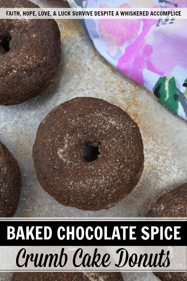 Baked Chocolate Spice Crumb Cake Donuts - These crumbly spiced chocolate cake donuts have just the right amount of ginger and cinnamon to make them absolutely delicious. And, since they're brushed with melted butter and then generously sprinkled with a cinnamon sugar topping, you won't even mind the fact that they aren't glazed.
