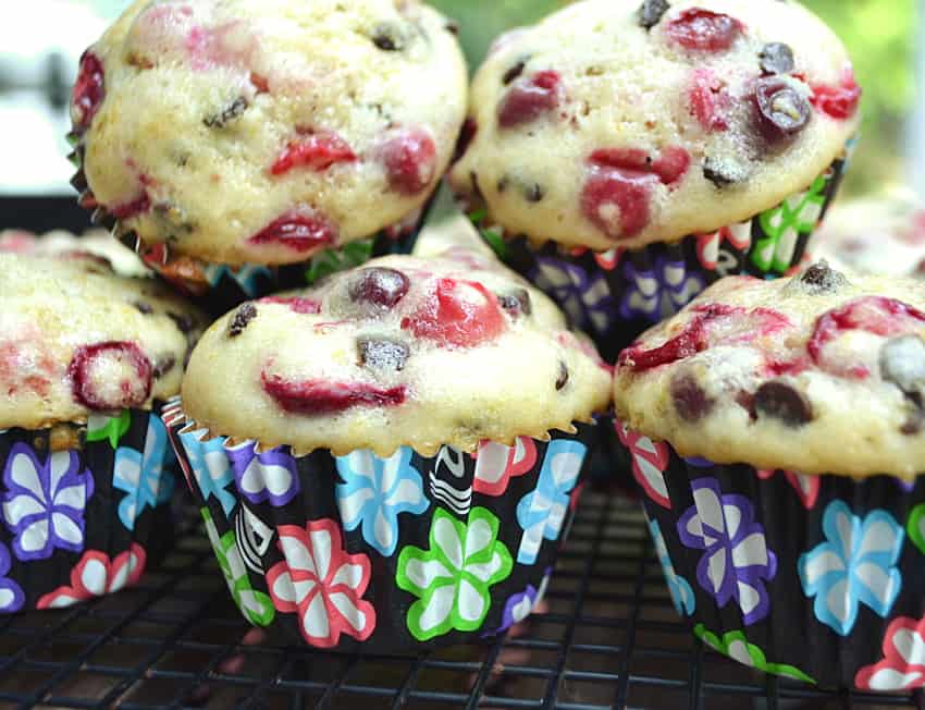 Cranberry Chocolate Chip Muffins - Crafty Cooking Mama - Now that the scent of apples, cinnamon, and pumpkin are in the air, it's time to start thinking about what dishes will grace our Thanksgiving day tables. This November, why not try out a few of our favorite and most-requested holiday dishes? I'm pretty sure we've got a recipe both you and your family will absolutely love.
