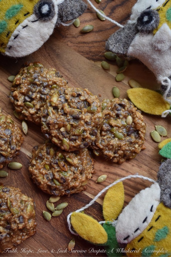 Fall Harvest Oatmeal Breakfast Cookies - Cookies for breakfast? Why not? These fall harvest oatmeal breakfast cookies make eating cookies for breakfast almost guilt-free and definitely an event to look forward to. Packed with oats, pumpkin seeds, and chocolate chips, these breakfast cookies are pretty much impossible to resist. Not only will you love how they taste, but you'll also adore their amazing texture.