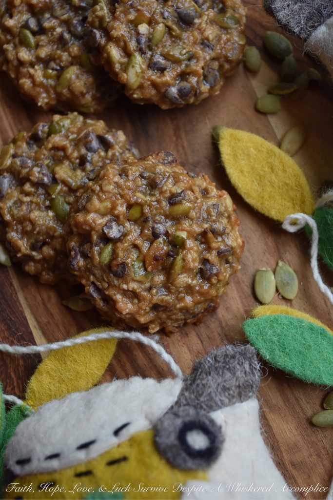 Fall Harvest Oatmeal Breakfast Cookies - Cookies for breakfast? Why not? These fall harvest oatmeal breakfast cookies make eating cookies for breakfast almost guilt-free and definitely an event to look forward to. Packed with oats, pumpkin seeds, and chocolate chips, these breakfast cookies are pretty much impossible to resist. Not only will you love how they taste, but you'll also adore their amazing texture.