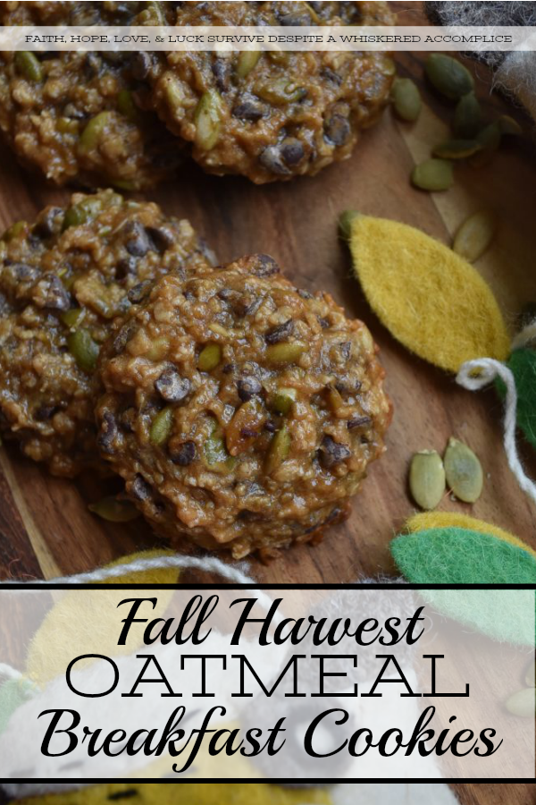 Fall Harvest Oatmeal Breakfast Cookies - Cookies for breakfast? Why not? These fall harvest oatmeal breakfast cookies make eating cookies for breakfast almost guilt-free and definitely an event to look forward to. Packed with oats, pumpkin seeds, and chocolate chips, these breakfast cookies are pretty much impossible to resist. Not only will you love how they taste, but you'll also adore their amazing texture.