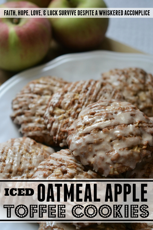 Iced Oatmeal Apple Toffee Cookies - There's nothing quite like an iced oatmeal cookie. Classic and delicious. However, when you add in toffee bits and finely diced apples, things get even better. And, as if that wasn't good enough, swirl some cinnamon sugar glaze on top. Now, we're talking iced oatmeal apple toffee cookie heaven.