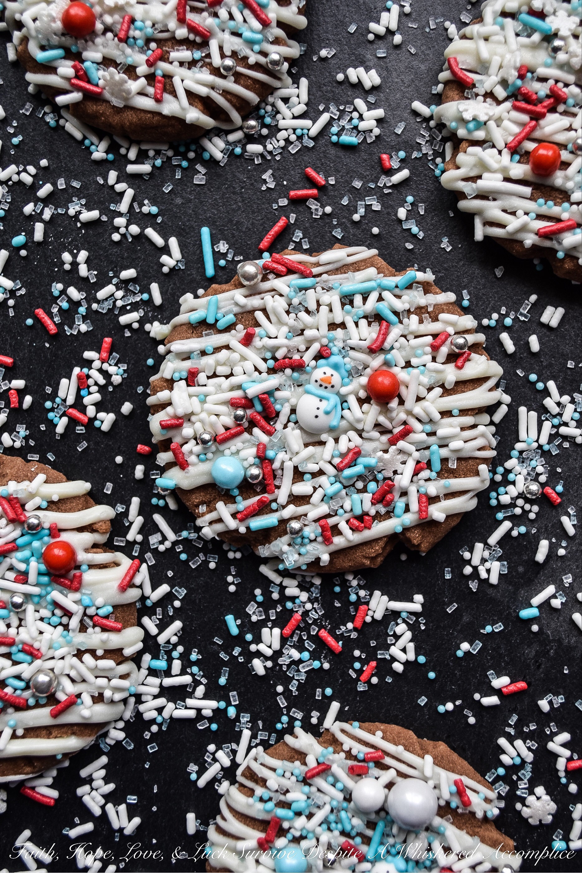 Chocolate Hazelnut Winter Wonderland Cookies