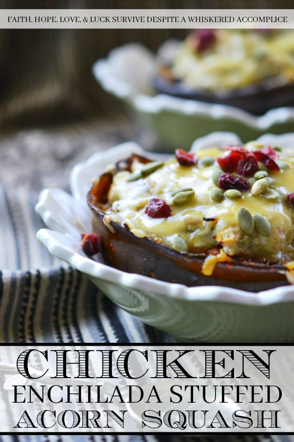 Chicken Enchilada Stuffed Acorn Squash - This warm autumn acorn squash dish is the perfect recipe to pull out to impress the guests at your next dinner party. Serve each guest half of an acorn squash filled with shredded chicken, green chile enchilada sauce, dried cranberries, and pepitas, topped with just the right amount of shredded cheddar cheese. Your guests will be begging you for the recipe afterward.