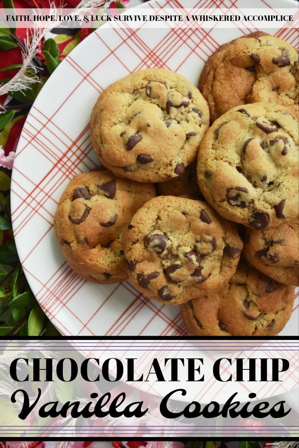 Chocolate Chip Vanilla Cookies - These simple and unassuming chocolate chip cookies are so much more than they first appear. They're soft and chewy, but also have an intense vanilla flavor that helps to bring out the taste of the semi-chocolate chips in them as well. In addition, they somehow manage to get even better after sitting for a few days after they are baked, which makes them the perfect Christmas cookie to add to a holiday cookie tray.