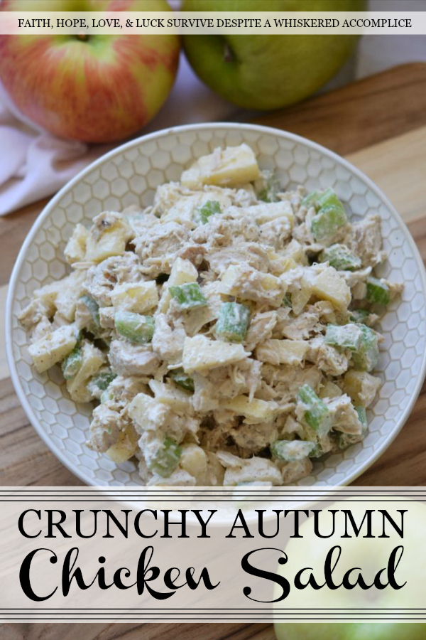 Crunchy Autumn Chicken Salad - Why settle for average chicken salad? On a 1 to 5 scale, this chicken salad recipe easily deserves a solid 4. Add some pecans and dried cranberries and you can definitely bump that rating up to a 5.