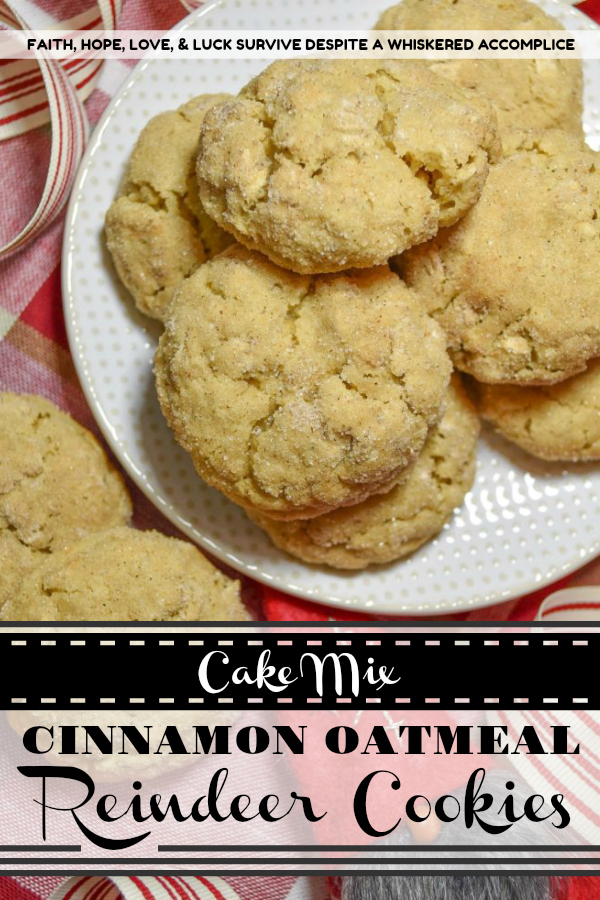 Cake Mix Cinnamon Oatmeal Reindeer Cookies - Santa's not the only one who enjoys a few cookies at Christmas time, his reindeer look forward to them as well. These oatmeal and cinnamon-flavored cookies, made using a yellow butter cake mix, are the perfect cookie recipe to make with your children during the holiday season. Not only will your kids love eating these tasty cookies, but they'll also be thrilled to leave a few out for Santa's reindeer.