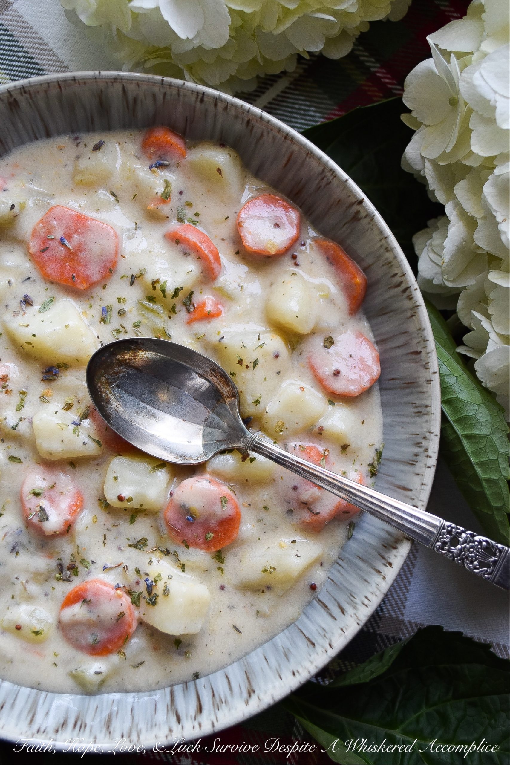 Potato Leek Soup with Herbes de Provence