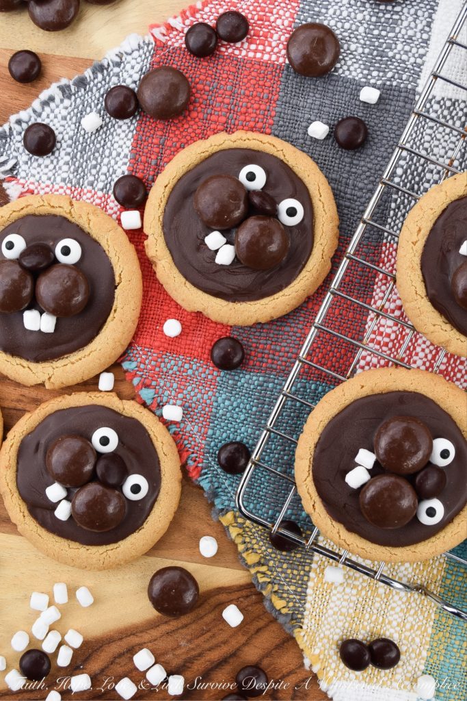 Groundhog Day Peanut Butter Cookies - This year, celebrate Groundhog Day with these festive peanut butter cookies decorated with chocolate, candy eyeballs, and marshmallow teeth. I'm pretty sure you'll enjoy decorating them just as much as you'll enjoy eating them. And, as an added bonus, you'll get to snack on some chocolate candy while making them. Cookies and candy? What a treat.