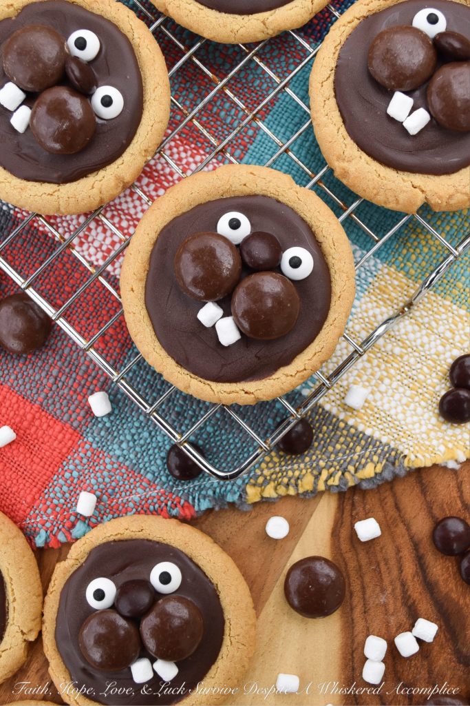 Groundhog Day Peanut Butter Cookies - This year, celebrate Groundhog Day with these festive peanut butter cookies decorated with chocolate, candy eyeballs, and marshmallow teeth. I'm pretty sure you'll enjoy decorating them just as much as you'll enjoy eating them. And, as an added bonus, you'll get to snack on some chocolate candy while making them. Cookies and candy? What a treat.