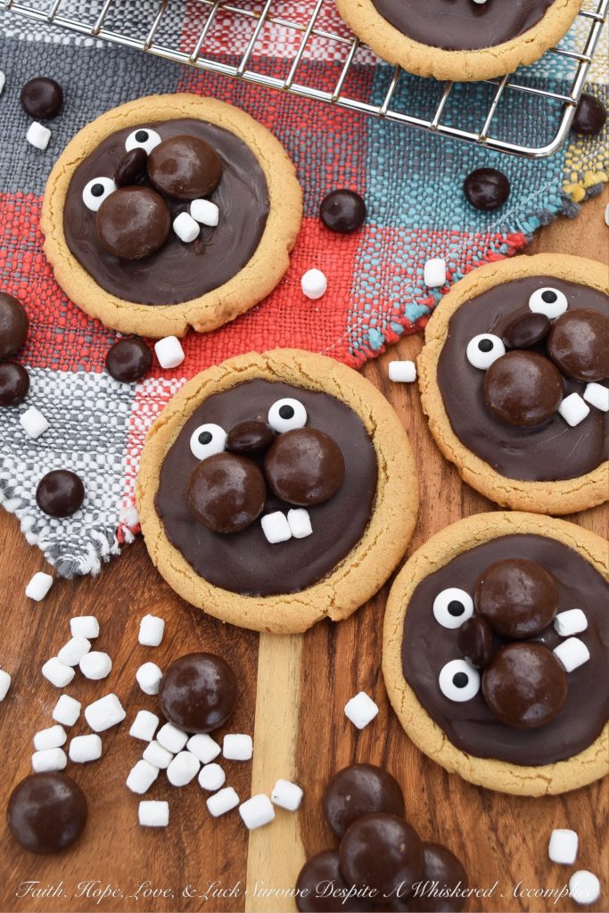 Groundhog Day Peanut Butter Cookies - This year, celebrate Groundhog Day with these festive peanut butter cookies decorated with chocolate, candy eyeballs, and marshmallow teeth. I'm pretty sure you'll enjoy decorating them just as much as you'll enjoy eating them. And, as an added bonus, you'll get to snack on some chocolate candy while making them. Cookies and candy? What a treat.