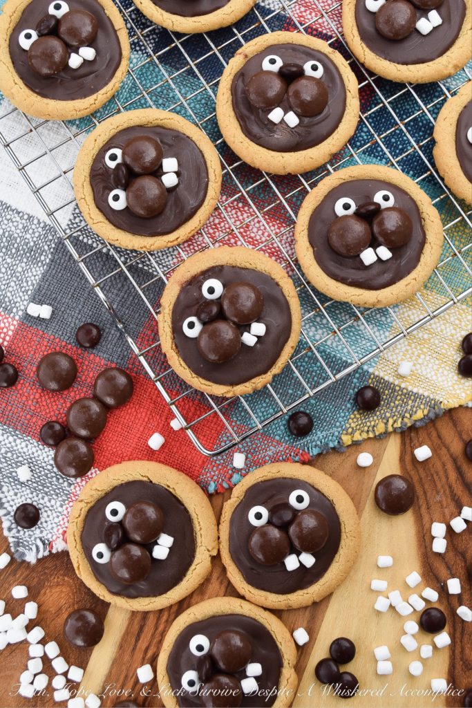 Groundhog Day Peanut Butter Cookies - This year, celebrate Groundhog Day with these festive peanut butter cookies decorated with chocolate, candy eyeballs, and marshmallow teeth. I'm pretty sure you'll enjoy decorating them just as much as you'll enjoy eating them. And, as an added bonus, you'll get to snack on some chocolate candy while making them. Cookies and candy? What a treat.