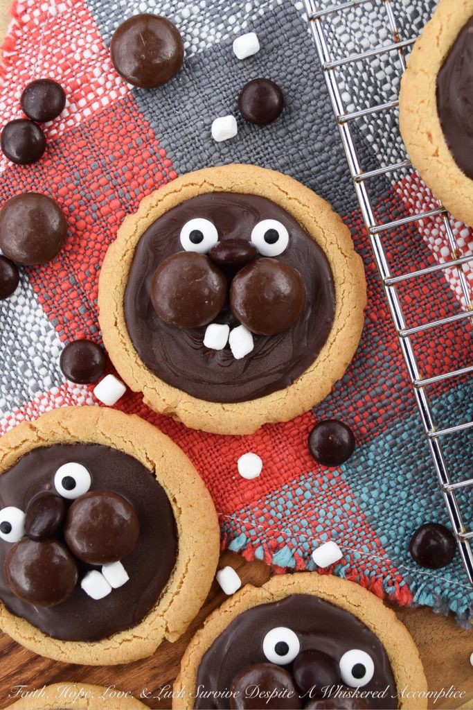 Groundhog Day Peanut Butter Cookies - This year, celebrate Groundhog Day with these festive peanut butter cookies decorated with chocolate, candy eyeballs, and marshmallow teeth. I'm pretty sure you'll enjoy decorating them just as much as you'll enjoy eating them. And, as an added bonus, you'll get to snack on some chocolate candy while making them. Cookies and candy? What a treat.