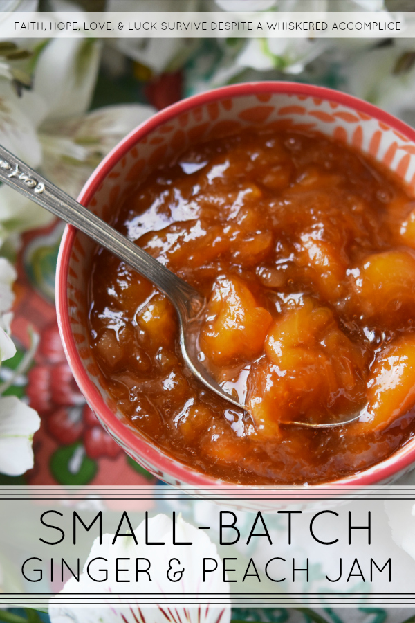 Small-Batch Ginger & Peach Jam - Finely diced crystallized ginger and frozen sliced peaches blend together with sugar, sea salt, and lemon juice in this small-batch sweet and spicy jam.