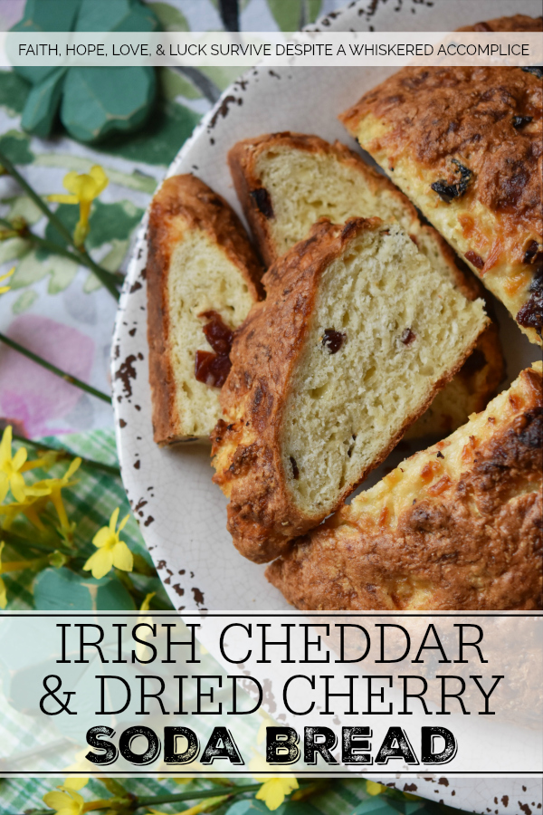 Irish Cheddar & Dried Cherry Soda Bread - This traditional Irish St. Patrick's Day-worthy soda bread gets a little something extra-special from the addition of shredded Irish cheddar cheese and tart dried cherries. Added bonus, there's no need to cut any butter into the dough either, which means that it's extremely quick to make and pop into the oven.