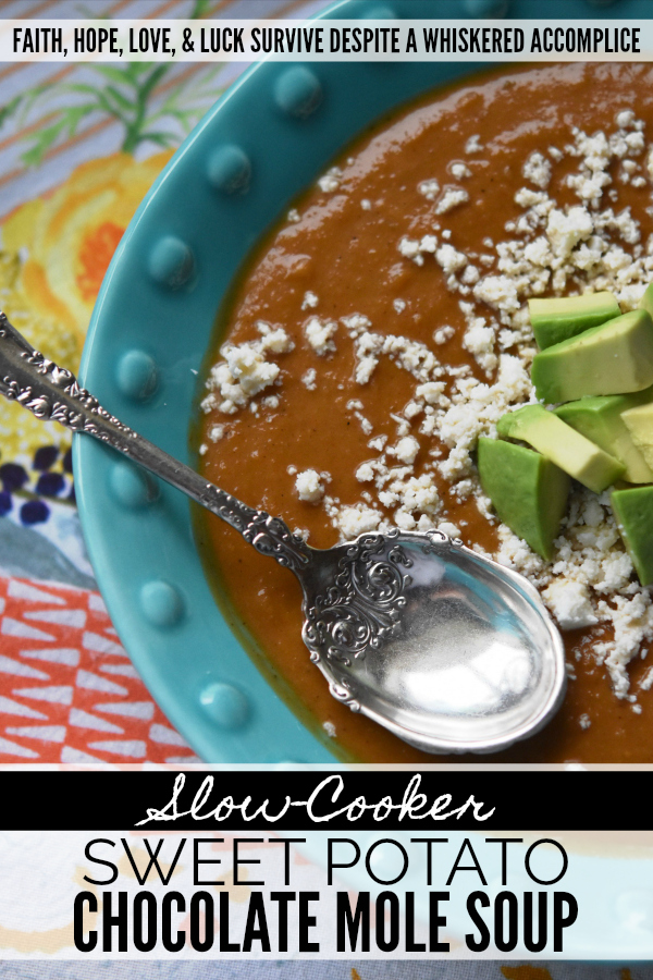 Slow-Cooker Sweet Potato Chocolate Mole Soup - This recipe is perfect for those days you're craving something just a little bit different. It's spicy, flavorful, and a great excuse to open up a bar of chocolate. If you're the type of person that needs an excuse, that is. Me, well, I don't really need an excuse. When it comes to Mexican sweet potato soup with mole flavors, I'm definitely all in.